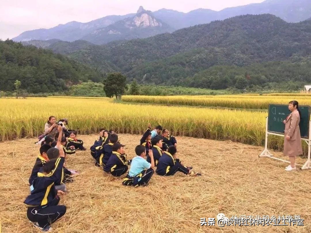 疫情过后做什么赚钱_过后疫情赚钱做什么_过后疫情赚钱做什么行业