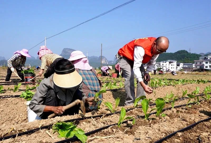 有什么在家就能赚钱_在家就能挣钱_在家赚钱就能有收入吗