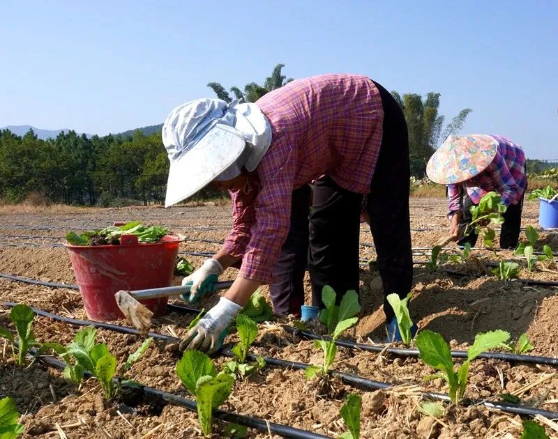 在家就能挣钱_在家赚钱就能有收入吗_有什么在家就能赚钱