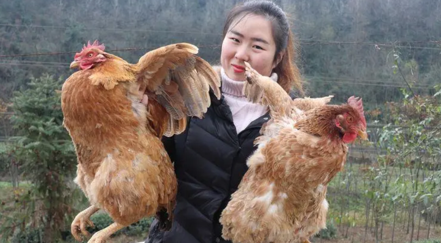 春节农村卖什么赚钱-快过年了，想在春节期间赚钱，就去做这4个生意，比打工一年都强！-优创圈