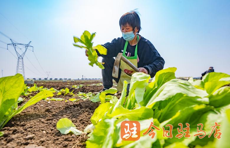 工业加工什么赚钱_现在加工业做什么比较挣钱_赚钱工业加工的公司