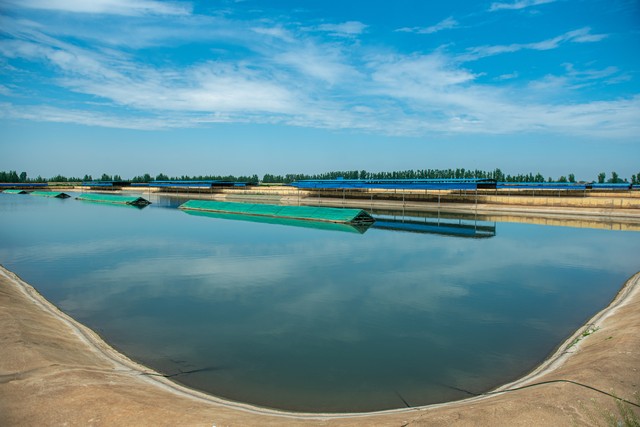 种地养殖赚钱么_搞养殖能赚到钱吗_一亩地养殖什么能挣钱