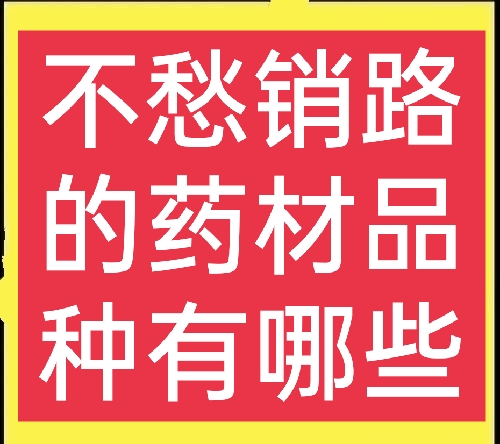 山上种植什么药才赚钱 农村种植哪些药材比较简单，能赚钱且不愁销路？这五种值得一试-侠客笔记