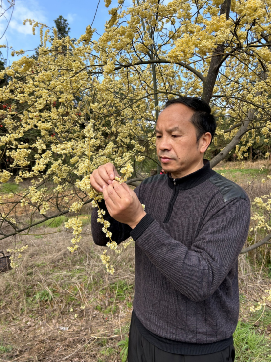 贵州赚钱点子_贵州种什么赚钱_贵州赚钱贵州花