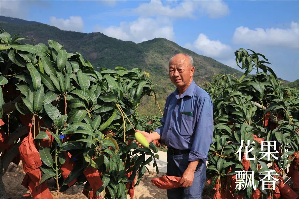 水果挣钱_卖水果赚不赚钱_现在卖什么水果最赚钱