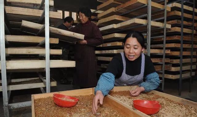 水产养殖赚钱_水产养殖业赚钱吗_养什么水产最赚钱