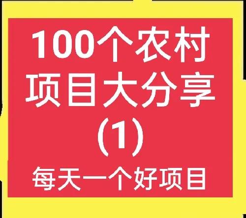 广场玩具什么赚钱 100个农村赚钱项目大分享(1)-侠客笔记