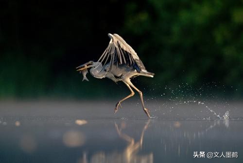 摄影赚钱么_摄影副业怎么挣钱_摄影挣钱多吗