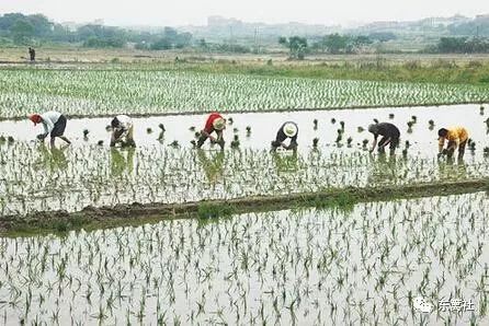 高中旁边摆摊卖什么好_高中旁边卖什么赚钱_高中旁边做什么生意赚钱