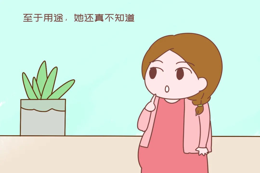 孕妇做什么能赚钱_孕妇能赚钱做什么_孕妇能赚钱做什么生意