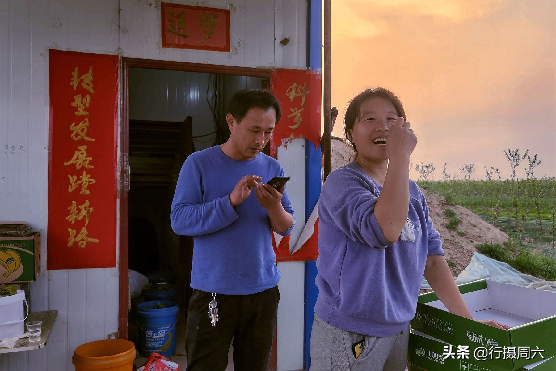 大棚种植赚钱现在怎么样了_大棚种植挣钱么_现在大棚种植什么最赚钱