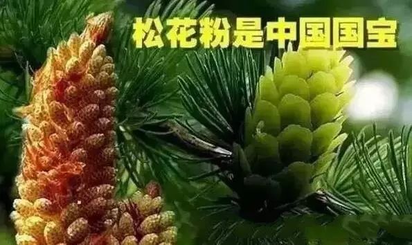 碱性食品有什么作用_碱性食品都有什么赚钱_碱性食品零食