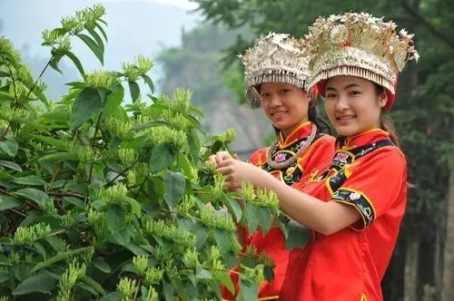 碱性食品有什么作用_碱性食品都有什么赚钱_碱性食物骗局