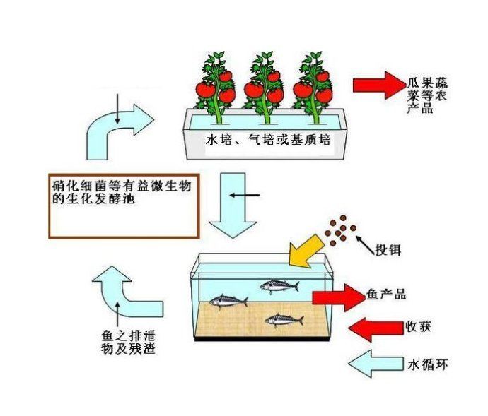 大棚种植赚钱现在还有吗_大棚种植赚钱现在怎么样了_现在大棚种植什么最赚钱