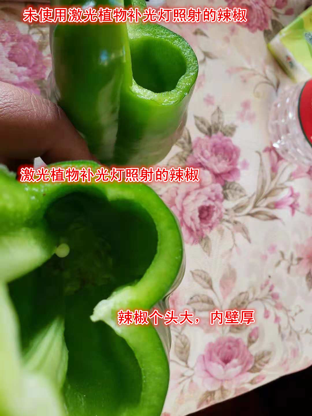 大棚种植赚钱现在怎么样了_现在大棚种植什么最赚钱_大棚种植赚钱现在还有吗