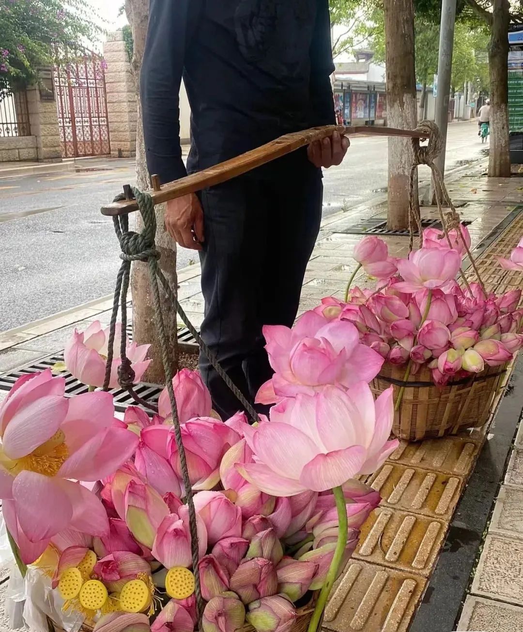 照片卖钱_怎么卖照片赚钱_卖照片能赚多少钱